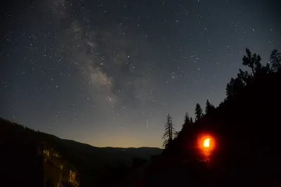 DSC_2236 (Large).JPG